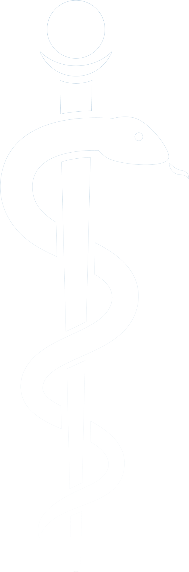 Vector Logo